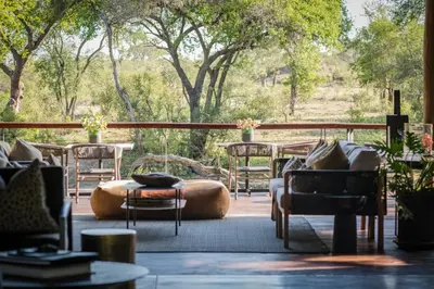 a patio with chairs and tables and trees at Serondella Safari Lodge in Thornybush Game Reserve