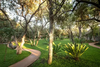 a path in a park with trees and grass at Serondella Safari Lodge in Thornybush Game Reserve