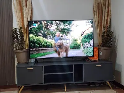 a tv sitting on a stand with a dog on the screen at Lemon tree in Pretoria