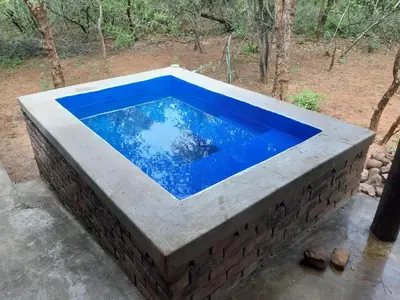 a blue swimming pool in a brick wall at Marty's Rest in Marloth Park