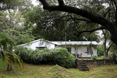 a white house in the middle of a forest at Kruger Park Farmstay near Orpen Gate in Hoedspruit