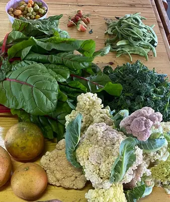 a bunch of vegetables sitting on a wooden table at Kruger Park Farmstay near Orpen Gate in Hoedspruit