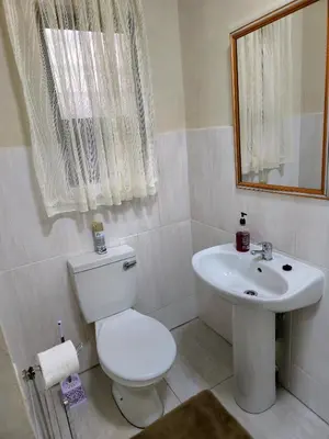 a bathroom with a white toilet and a sink at Peshline Guest House Unit 1 in Ermelo