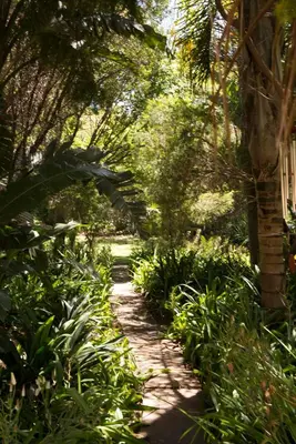 a path through a garden with trees and plants at Tuareg Guest House in Midrand