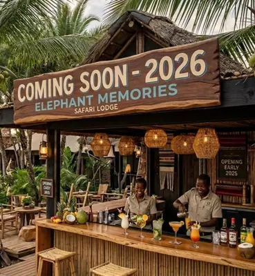 two men sitting at a bar in a restaurant at Elephant Memories Glamping Safari Tents and more in Marloth Park
