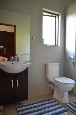 a bathroom with a toilet and a sink and a mirror at Jade Mountain Cottage \u7389\u5c71\u5c0f\u5c4b in White River