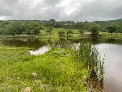 a river with grass and a field with trees at Jade Mountain Cottage \u7389\u5c71\u5c0f\u5c4b in White River