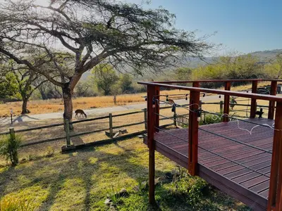 a wooden deck with a fence next to a tree at Jade Mountain Cottage \u7389\u5c71\u5c0f\u5c4b in White River