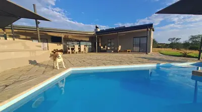 a dog standing next to a swimming pool in front of a house at Casa de la Presa 3 in Polokwane