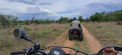 a man riding a motorcycle on a dirt road with giraffes at Casa de la Presa 3 in Polokwane