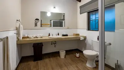 a bathroom with a sink and a toilet and a mirror at Phelwana Game Lodge in Hoedspruit