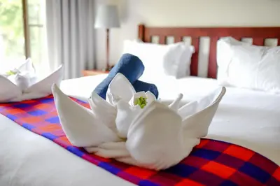 a white flower sitting on top of a bed at Phelwana Game Lodge in Hoedspruit
