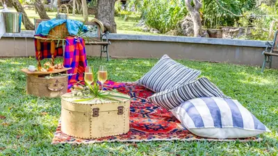 a picnic with pillows and a blanket on the grass at Phelwana Game Lodge in Hoedspruit