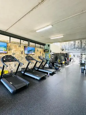 a row of treadmills in a gym with a stone wall at Urban Oasis Retreat in Midrand