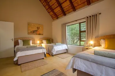 a bedroom with two beds and a window at Sweet Thorn House MARLOTH PARK in Marloth Park