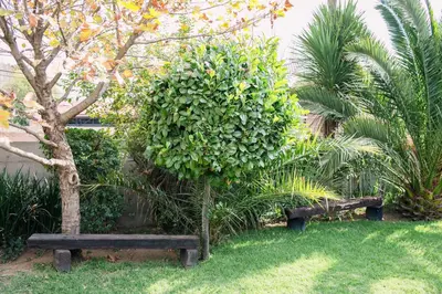 a bench in a garden with a large bush at Pennylane Guest House in Ermelo