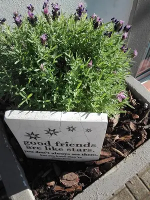 a plant in a white pot with words on it at Pennylane Guest House in Ermelo