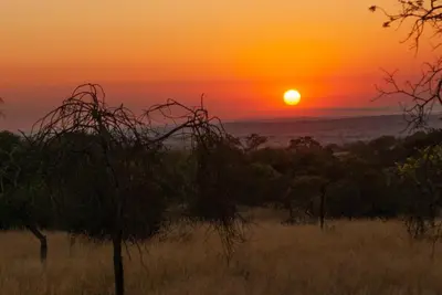 a sunset in the savanna with a field and trees at Casa de la Presa 2 in Polokwane