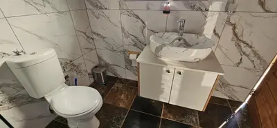a bathroom with a toilet and a sink at Elias Nefale Eco Estate in Mitxetweni