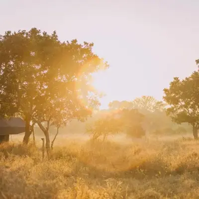 Kruger Untamed - Satara Plains Camp