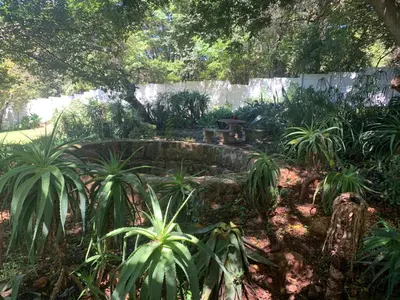 a garden with a stone bench and plants at Boven Villa in Waterval Boven