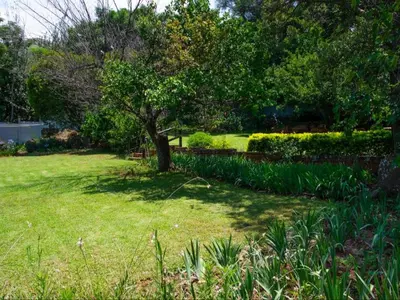 a tree in the middle of a green yard at Boven Villa in Waterval Boven
