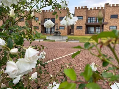 a building with a brick courtyard with white flowers at Castle Walk Estate in Roodeplaat