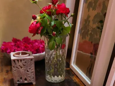 a vase filled with red flowers sitting on a table at Bella Bohemia Spa, Venue and Guest Farm in Roodeplaat