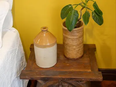 a table with a plant and a vase on it at Bella Bohemia Spa, Venue and Guest Farm in Roodeplaat