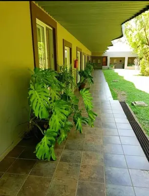 a house with a plant on the side of it at Nikita Portuguese Restaurant and Motel in Lanseria