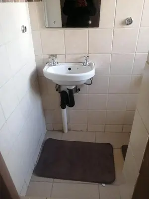a bathroom with a sink and a mirror and a rug at Walalawasala in Polokwane