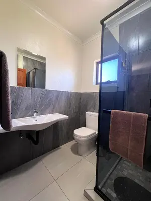 a bathroom with a sink and a toilet and a shower at Melamar Estate in Marloth Park