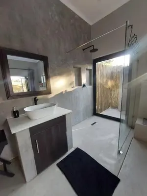 a bathroom with a sink and a mirror and a shower at House UmGanu in Marloth Park