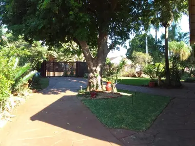 a tree in the middle of a yard with grass at Buffalo Street Cottages in Malelane