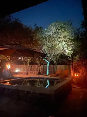 a pool with chairs and a tree at night at African Vibes in Marloth Park