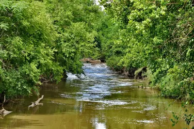 a river with trees on the side of it at Thanda Manzi Country Hotel in Centurion