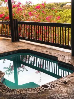 a reflection of a tree in a pool next to a fence at The Yellow House in Brits