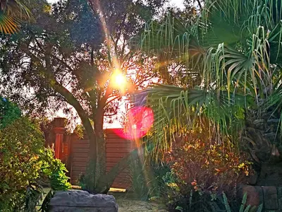a house with the sun shining behind a tree at Sun and Stars in Benoni
