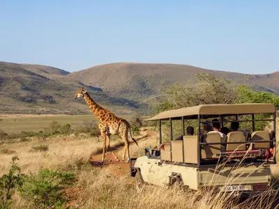 a giraffe walking next to a vehicle with people at Nkomazi Game Reserve by NEWMARK in Badplaas