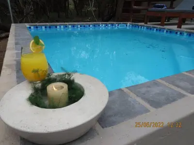 a pool with a vase and a candle next to it at Luxury GuesthouseCo RomanticaHouse in Marloth Park