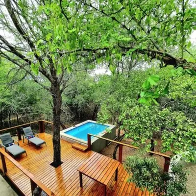 a wooden deck with a swimming pool and a tree at Luxury GuesthouseCo FarmHouse in Marloth Park
