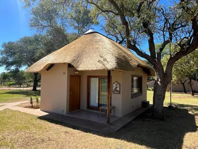 a small hut with a thatched roof next to a tree at ILANGA Lodge & Game Reserve in Kwarriekraal