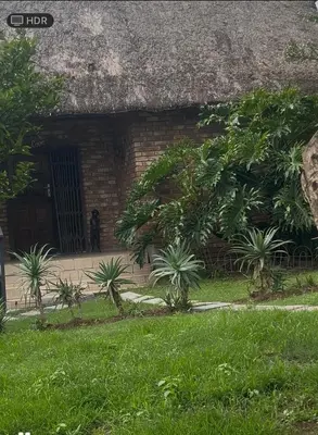 a building with a thatch roof with a dog in front of it at Pop inn 74 in Midrand