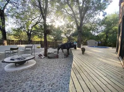 a statue of a horse standing in a yard at Nokuthula Bush Retreat in Marloth Park