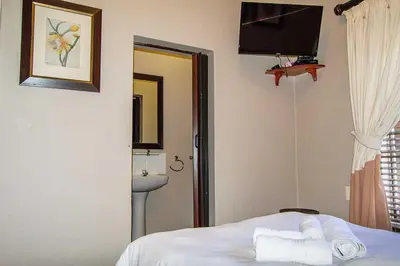 a bedroom with a bed and a sink and a television at RIETONDALE LODGE in Pretoria