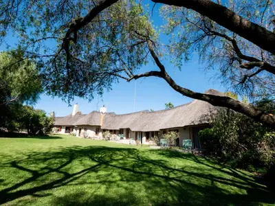 a house with a thatched roof and a yard at Celtis Manor Guesthouse in Midrand