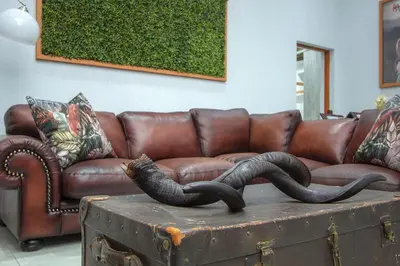 a brown leather couch with two snakes on top of a trunk at Cheetah Plateau in Marloth Park