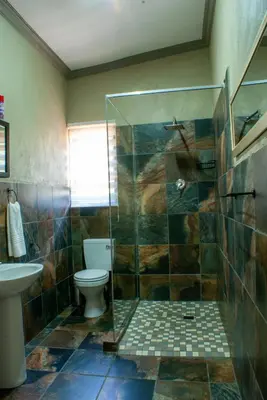 a bathroom with a shower with a toilet and a sink at Casa de la Presa 6 in Polokwane