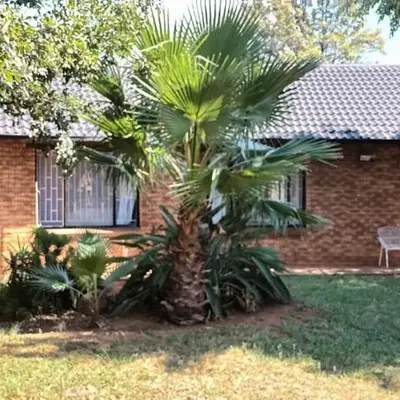 15 Rottweiler Contractors Self-Catering