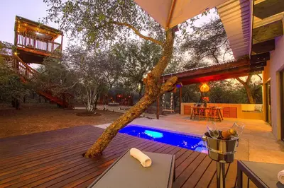 a tree sitting on a deck next to a pool at The Suite Luxury Safari Villa, Close to KNP, Starbed, Giraffe-Feeding-Tower, Bush-Bath in Marloth Park